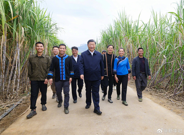 习近平在广西来宾市考察调研